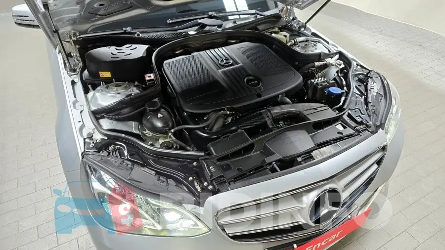 WDDHF8CB7EA973431 Photo# 6