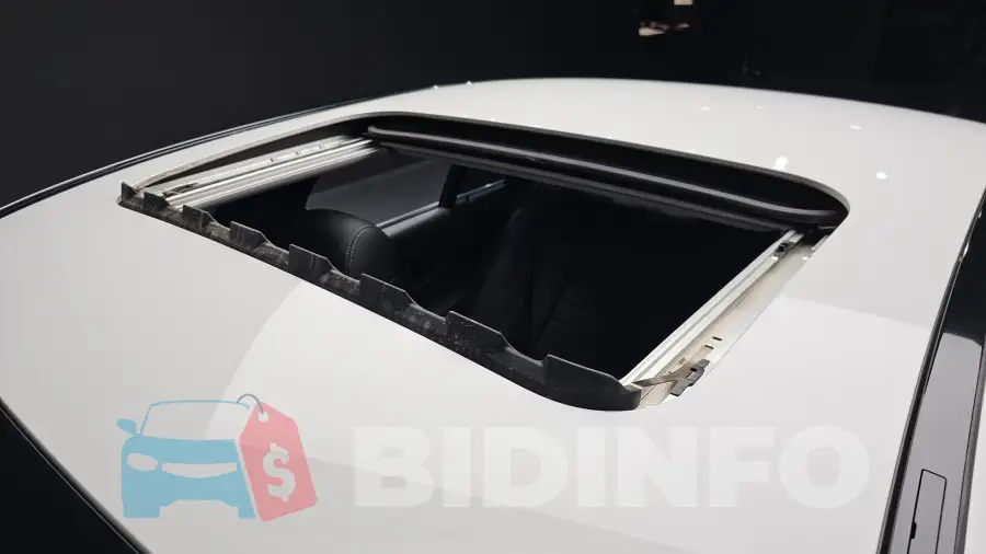 WDDZF4JB2LA746600 Photo# 19