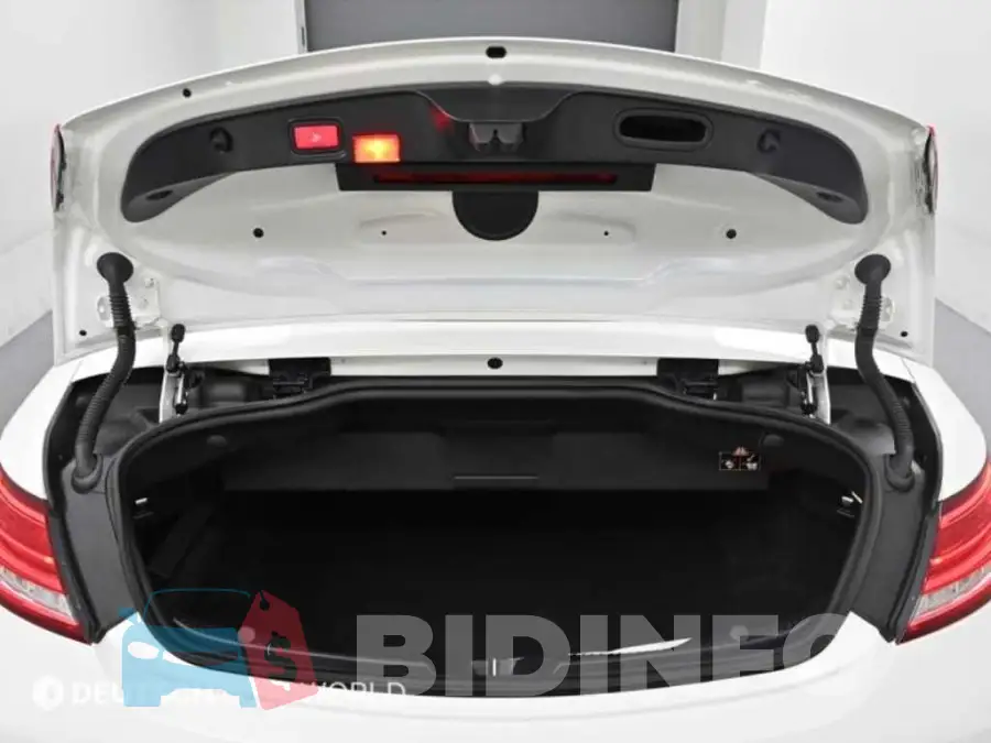 WDDWK4CB7JF735975 Photo# 19