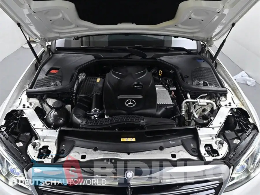 WDDZF4KB9HA079921 Photo# 6