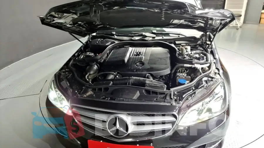 WDDHF8CB4EA800482 Photo# 6