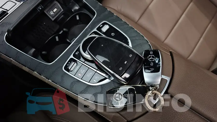 WDDZF4FB2LA731393 Photo# 16