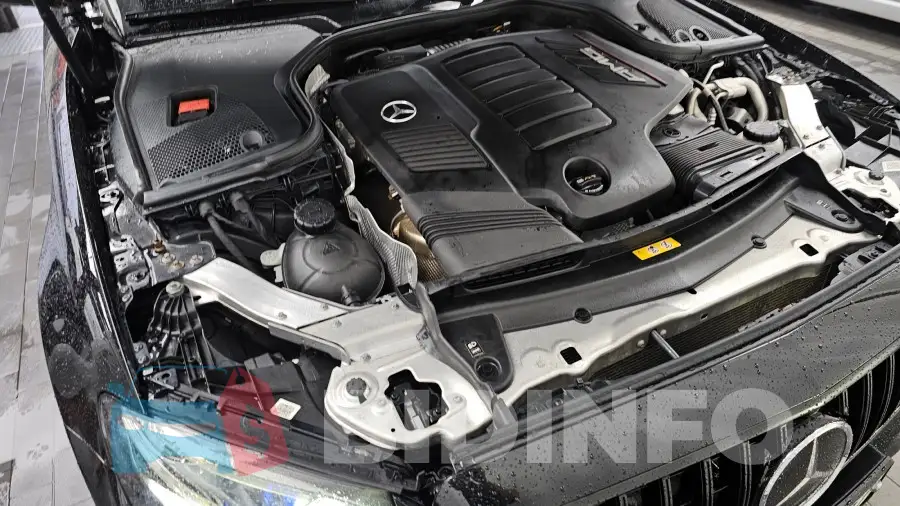 WDDZF6BB2KA567627 Photo# 6