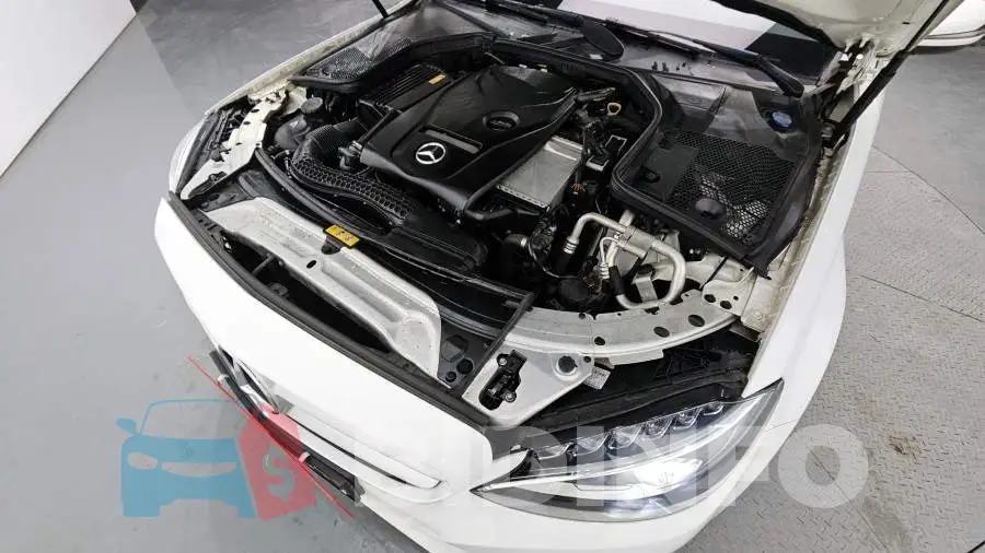 WDDWF4CB1HF506092 Photo# 6