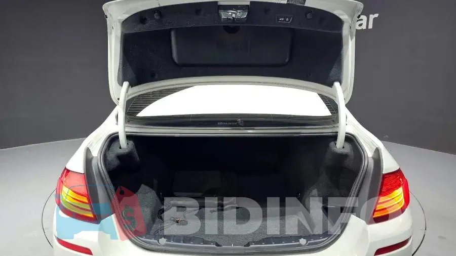 WBA5A5102GG602802 Photo# 20