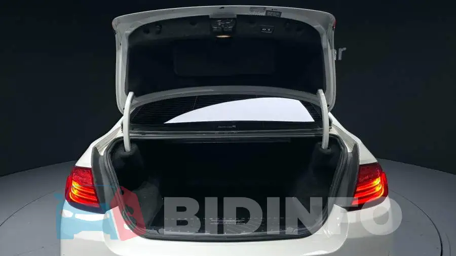 WBA5A7105FD817666 Photo# 19