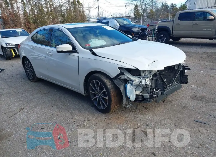 19UUB2F52FA012083 Photo# 1