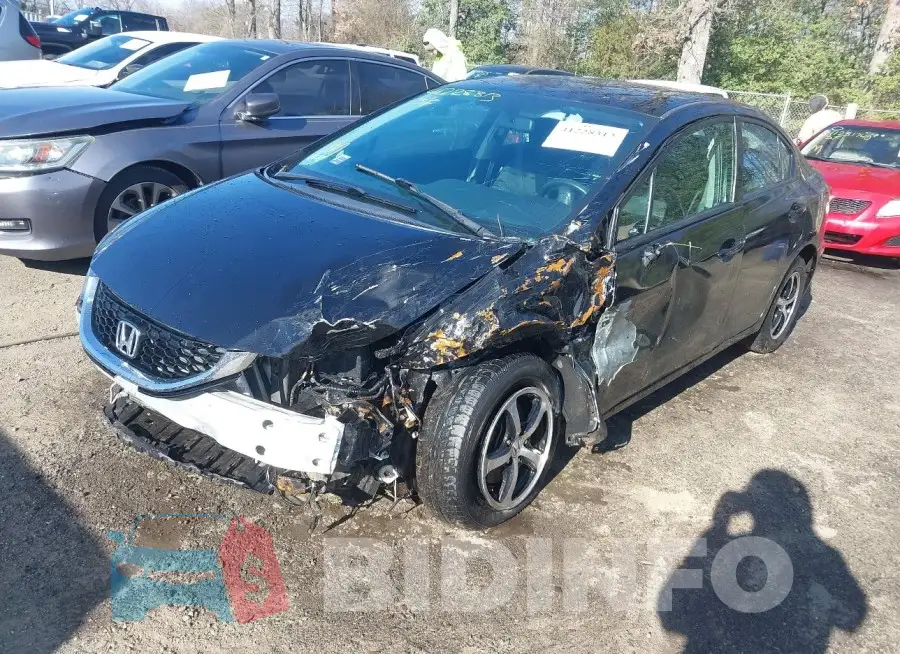 19XFB2F70FE295802 Photo# 2