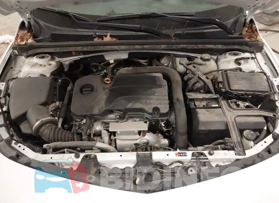 1G1ZD5ST4LF070661 Photo# 10