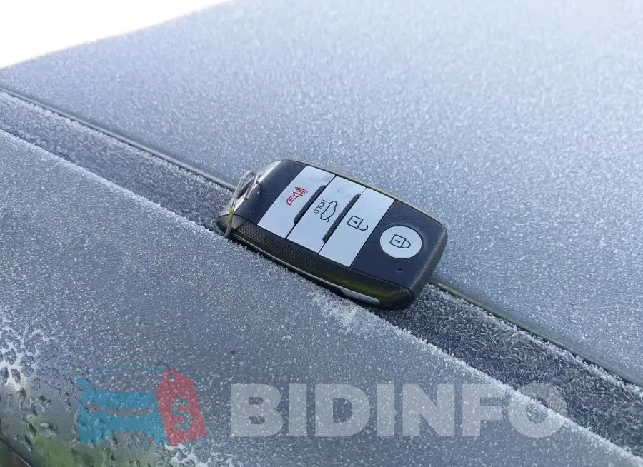 3KPFL4A72HE121863 Photo# 11