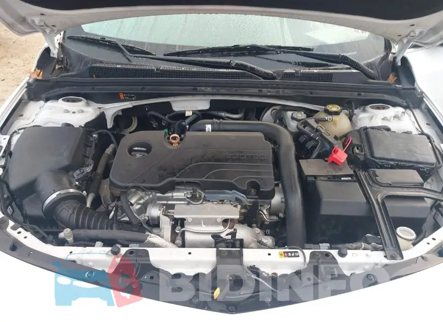 1G1ZD5ST5KF107344 Photo# 10