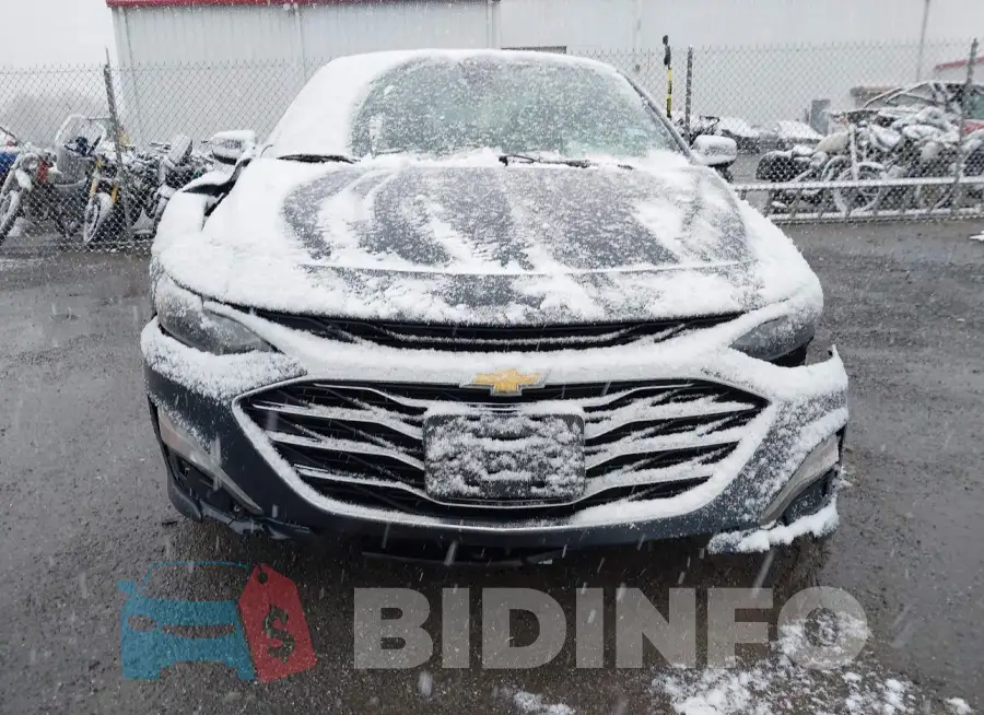 1G1ZD5ST7LF035497 Photo# 10