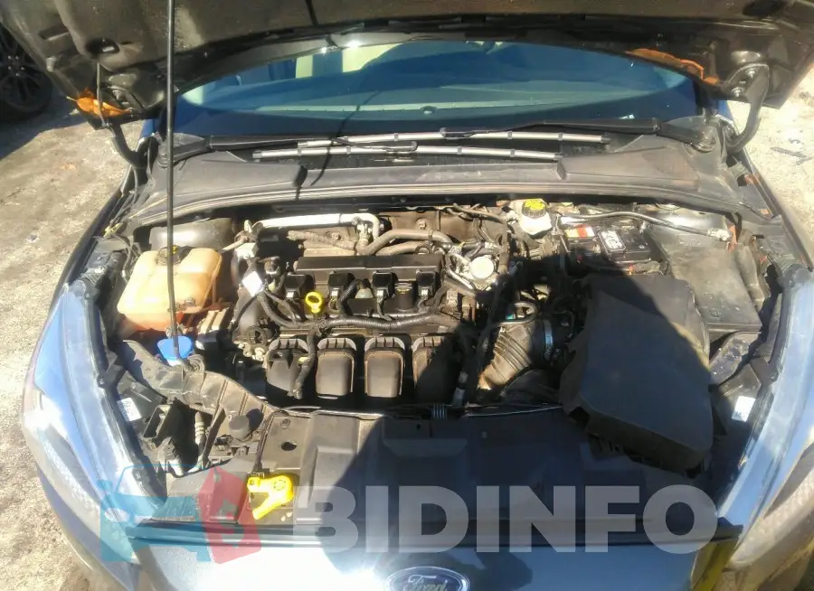 1FADP3F24HL341621 Photo# 10