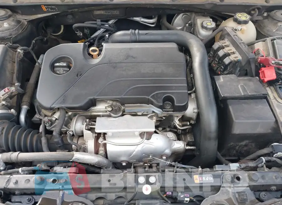 1G1ZB5ST2HF289521 Photo# 10