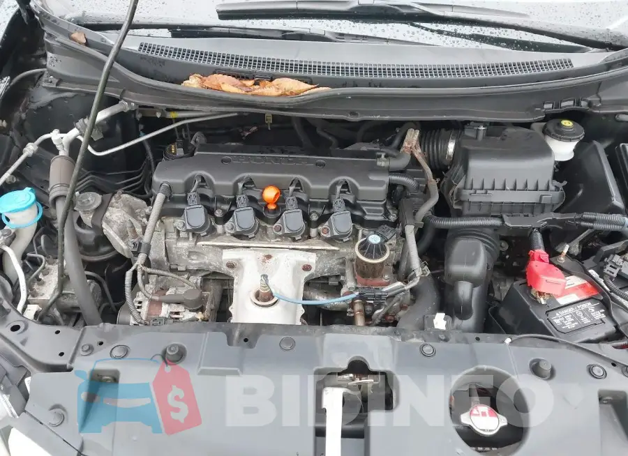 19XFB2F55FE214467 Photo# 10