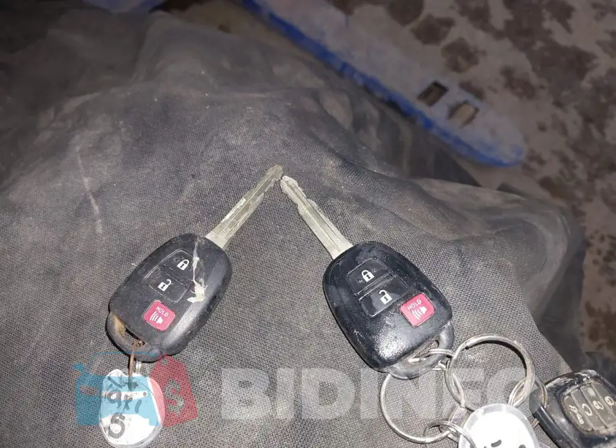 2T3BFREV1HW671197 Photo# 6