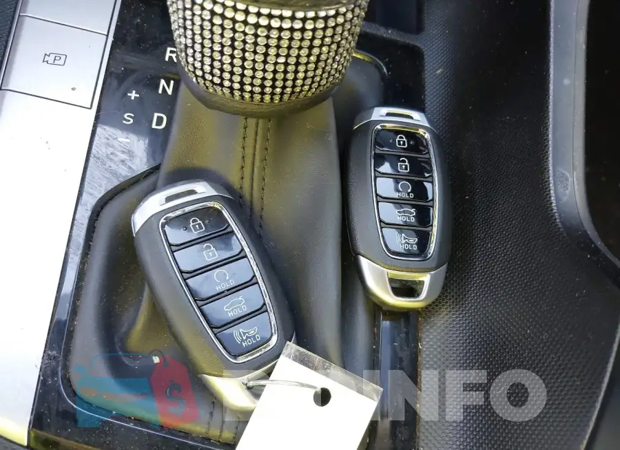 5NPLM4AG9PH110627 Photo# 11