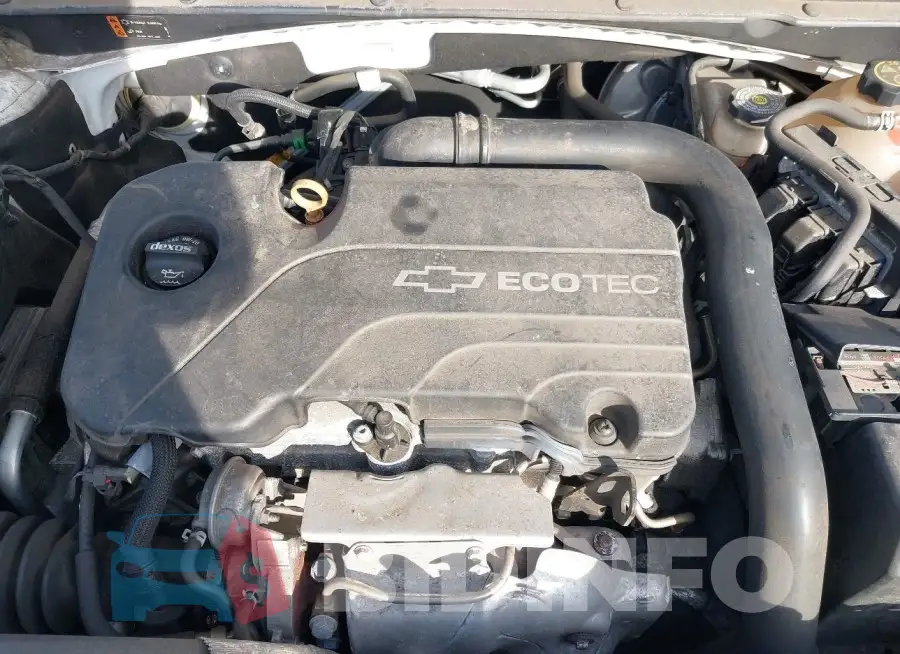 1G1ZD5ST4JF170174 Photo# 10