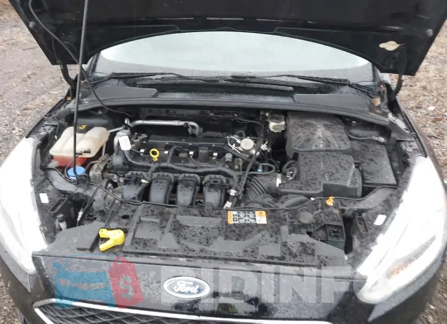 1FADP3F20HL209911 Photo# 10