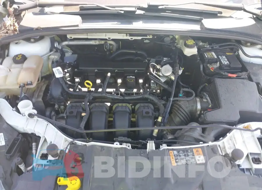 1FADP3M21HL248137 Photo# 10