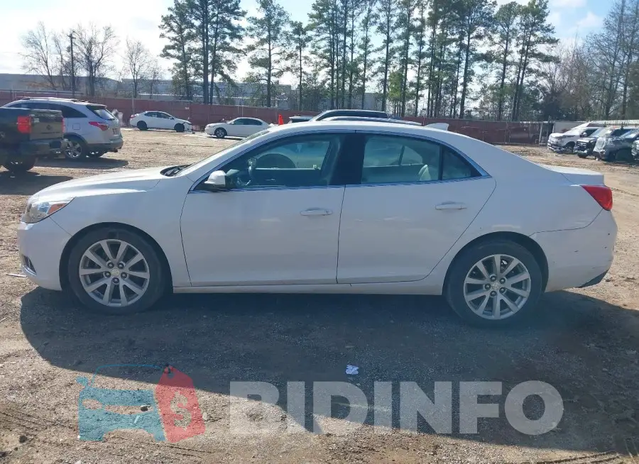 1G11D5SL3FF151684 Photo# 14