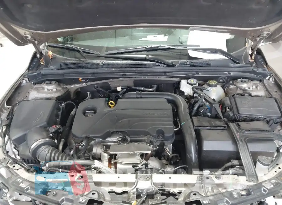 1G1ZD5ST9RF172000 Photo# 10