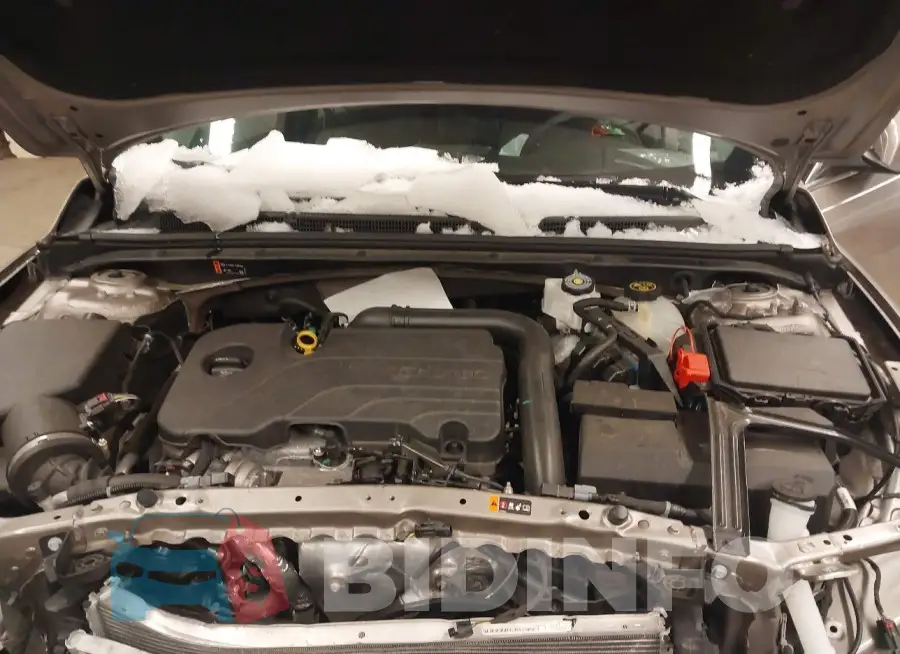 1G1ZD5ST4RF170266 Photo# 10