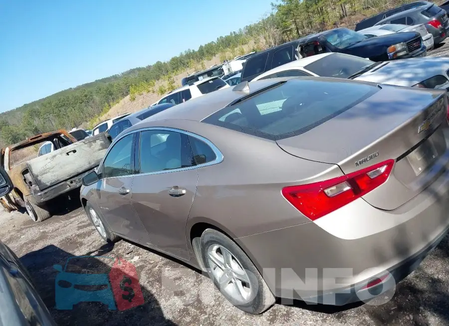1G1ZD5ST7PF168024 Photo# 14