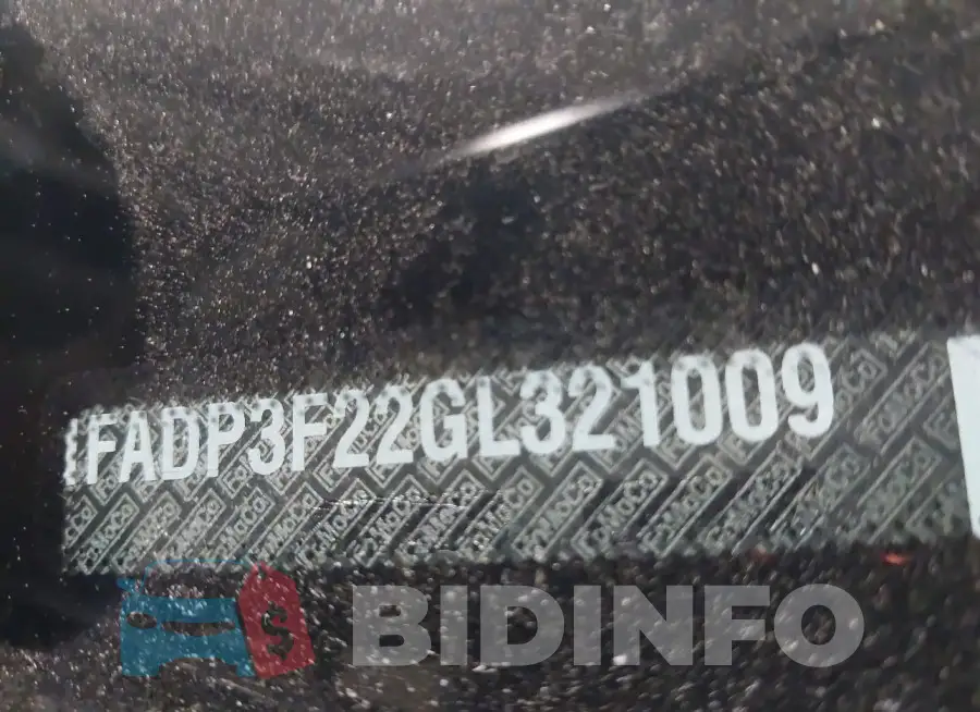 1FADP3F22GL321009 Photo# 9