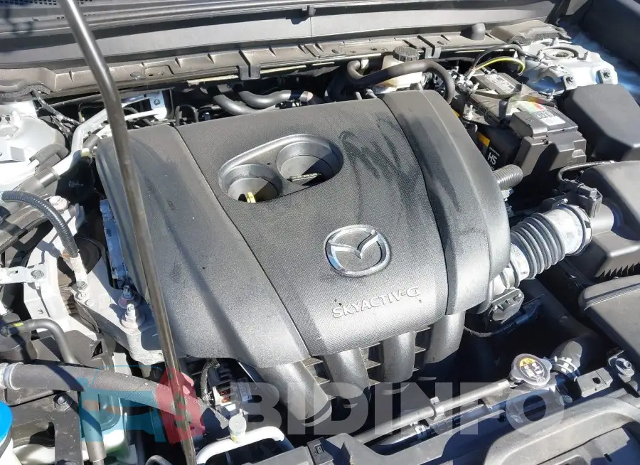 3MVDMACL4MM256113 Photo# 10