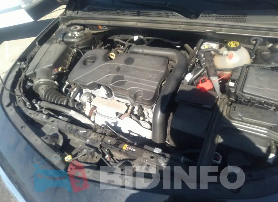 1G1ZD5ST5LF095178 Photo# 10