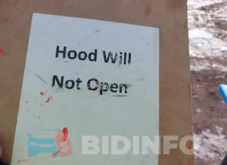 KMHT36AHXLU004187 Photo# 10