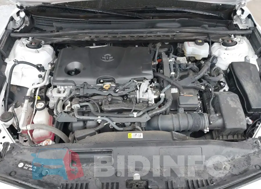 4T1C31AK5LU528748 Photo# 10