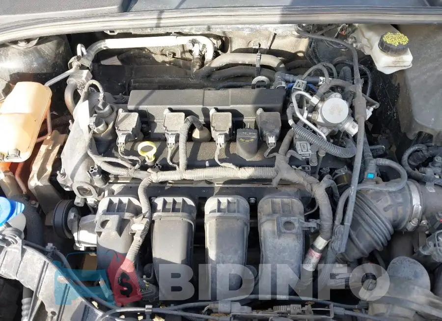 1FADP3H24JL255213 Photo# 10