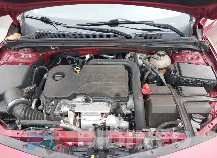 1G1ZD5ST5KF181590 Photo# 10