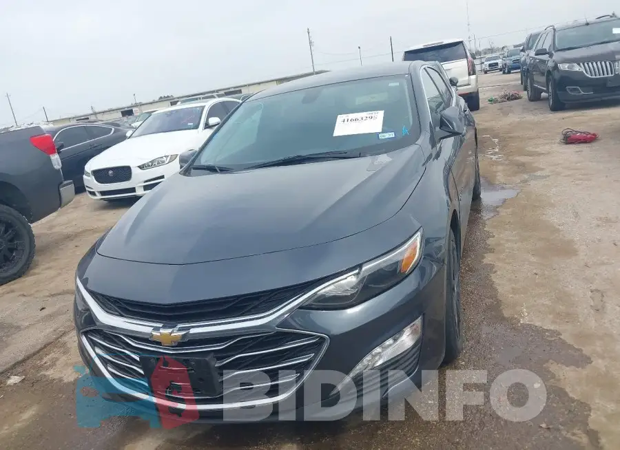 1G1ZD5ST4KF161119 Photo# 12
