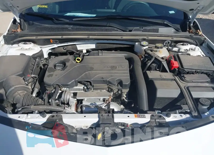1G1ZD5ST7RF142574 Photo# 10