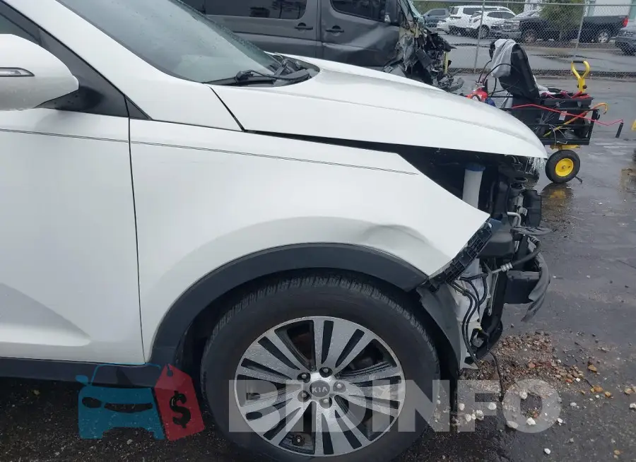 KNDPC3AC2G7815091 Photo# 6
