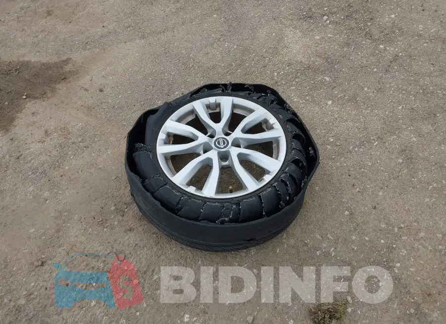KNMAT2MT2LP526881 Photo# 12