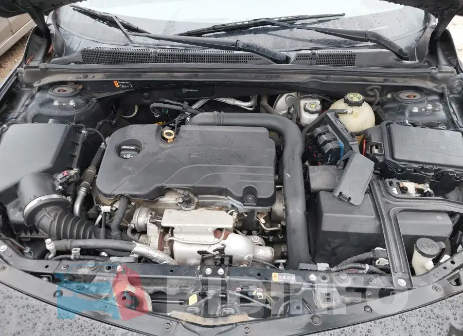 1G1ZB5ST4HF175939 Photo# 10