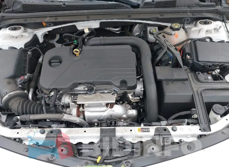1G1ZD5ST5LF122086 Photo# 10