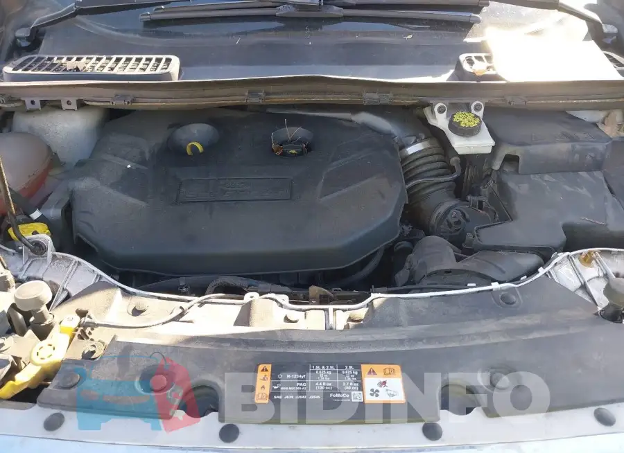 1FMCU9J91KUB21842 Photo# 10