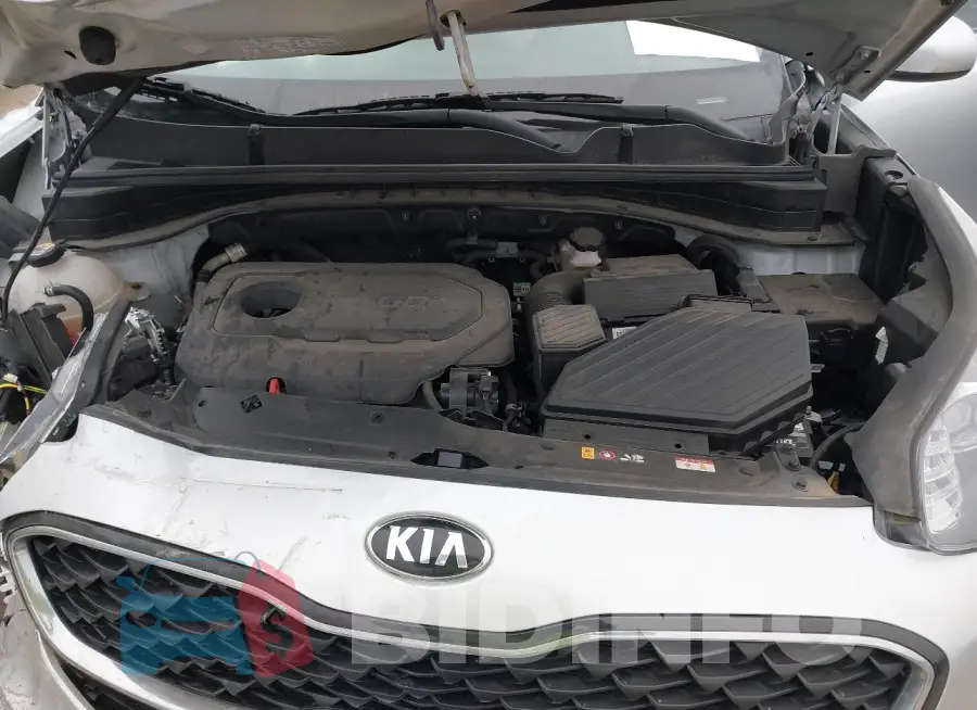 KNDPM3AC9M7926293 Photo# 10