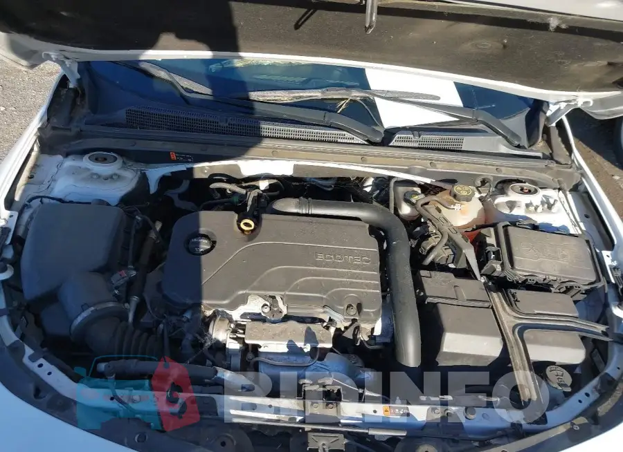 1G1ZD5ST3KF168546 Photo# 10