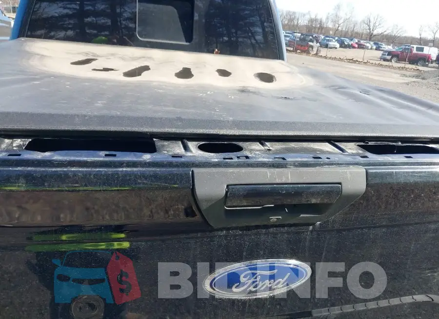 1FTEW1EP8GFB77175 Photo# 19
