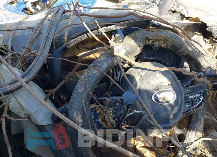 KNDEU2AA2M7043183 Photo# 7