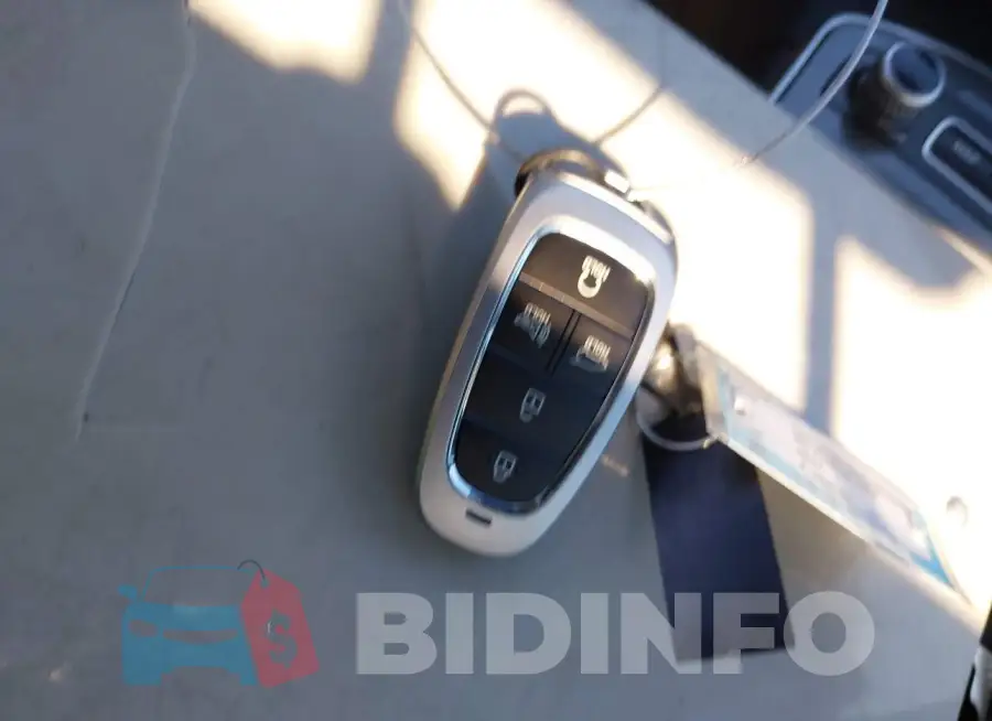 5NMS3DA10PH021231 Photo# 11