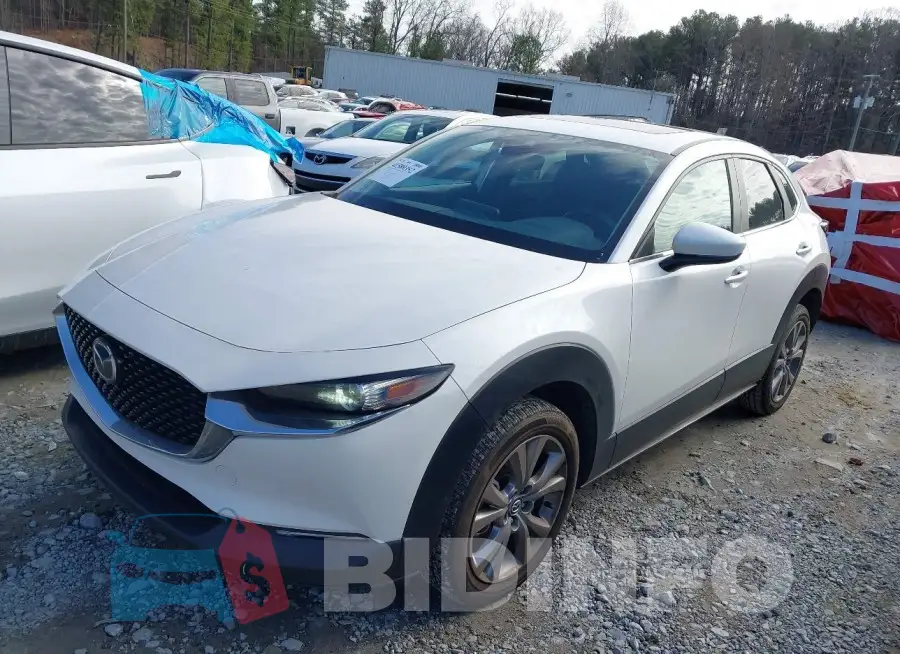 3MVDMACL6MM206944 Photo# 2