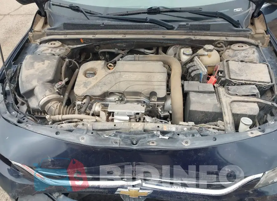 1G1ZB5ST1HF106934 Photo# 10