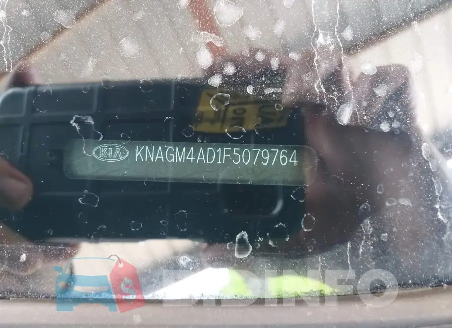 KNAGM4AD1F5079764 Photo# 9